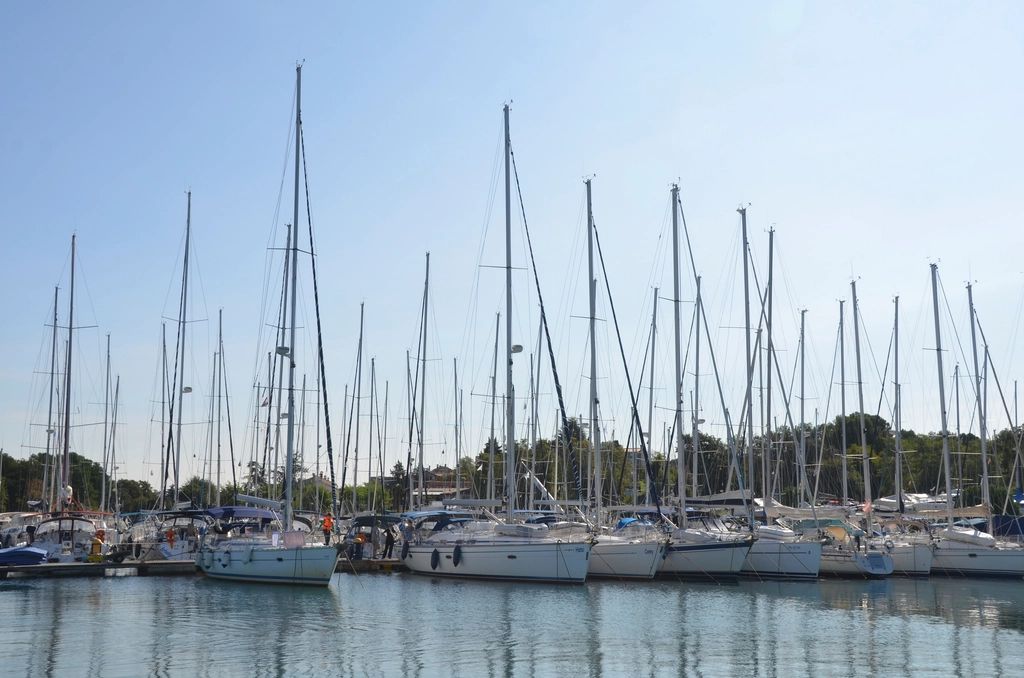 Boats moored at the harbour